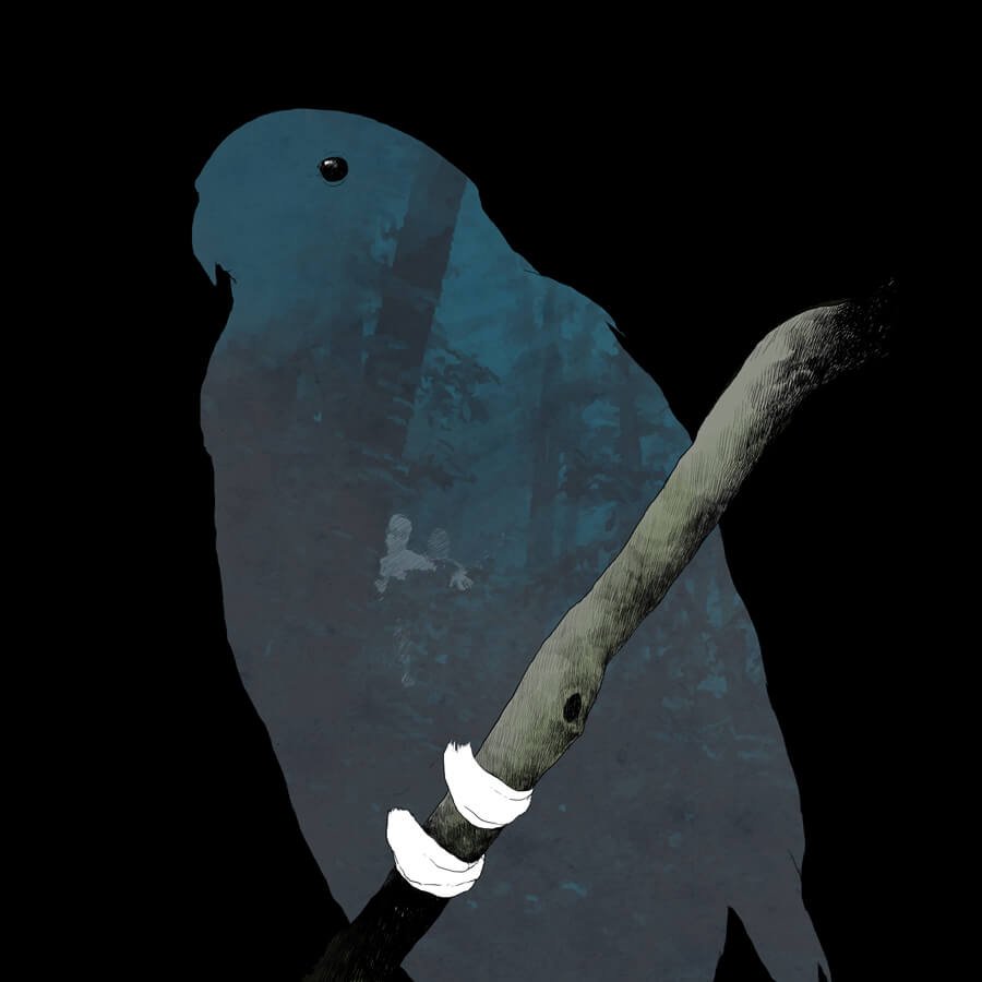 Ilustración por Juan Pablo Gaviria Bedoya