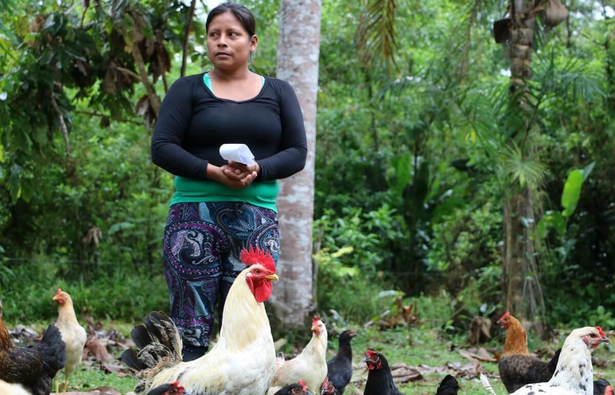Campesina de Puerto Bello rodeada de sus gallinas criollas. Foto: Andrés Monroy/CICR.