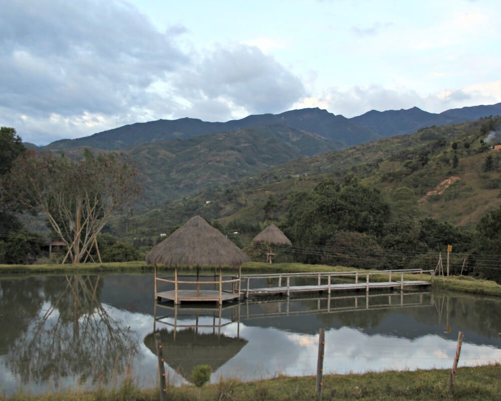 Foto David González M.
