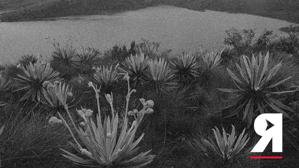 La guía Divergentes del movimiento ambientalista colombiano