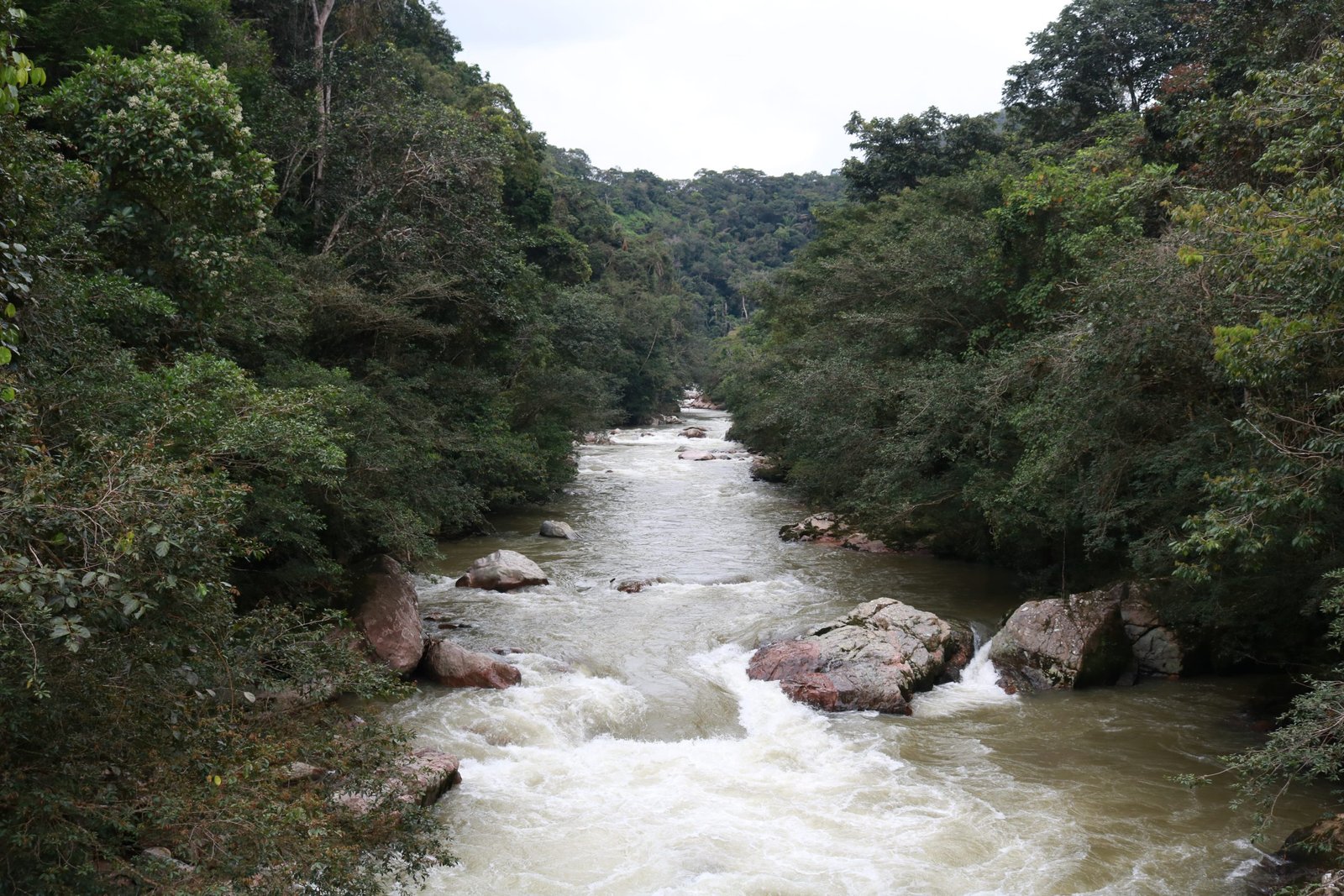 El río San Pedro nace en la cordillera oriental de los Andes y desemboca en el río Orteguaza, uno de los más importantes del departamento. Crédito: César Rojas