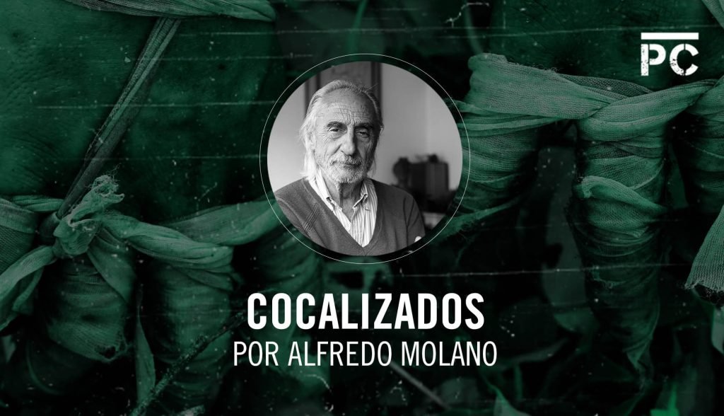 Coca y marihuana, la explosión de una nueva violencia