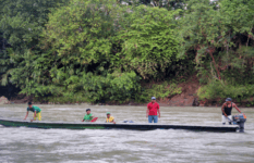 Ninguna comunidad indígena de Bojayá pudo votar el pasado 2 de octubre en el plebiscito para refrendar los acuerdos de paz.