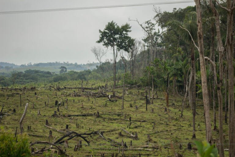 Predio talado en El Parque Nacional Natural Tinigua