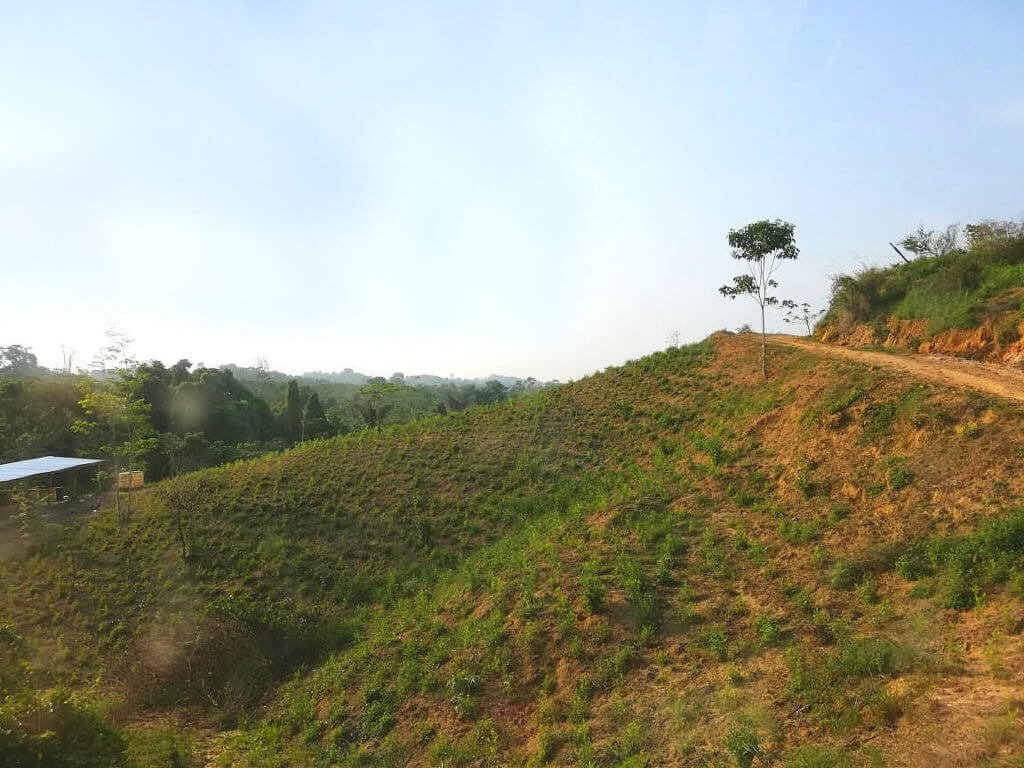 En la zona rural de Cúcuta, los cultivos de coca han ido creciendo. Ya superan las 300 hectáreas. Crédito: La Liga Contra el Silencio.