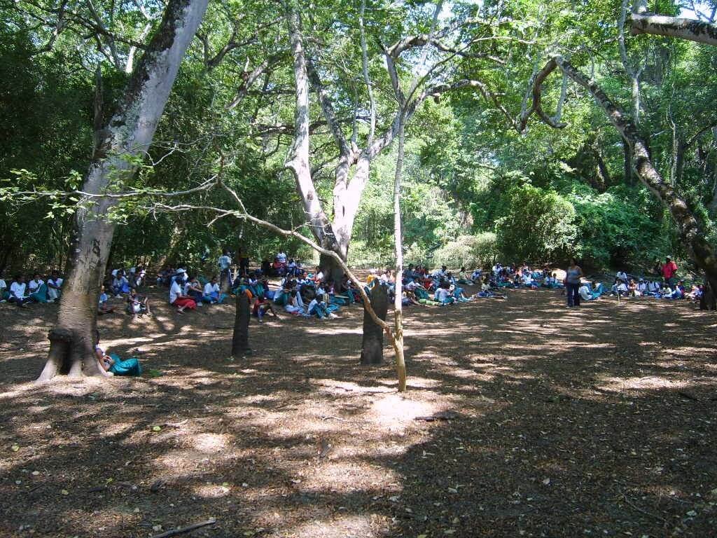 lola-bio-aula-dos