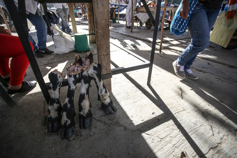 Toribio es un pueblo que ahora, en medio de la implementación de los acuerdos de paz, vive más tranquilo. Foto: Iván Valencia.